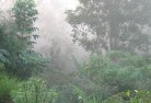 Waratah Baylandscaping-irrigation-4.jpg; ?>